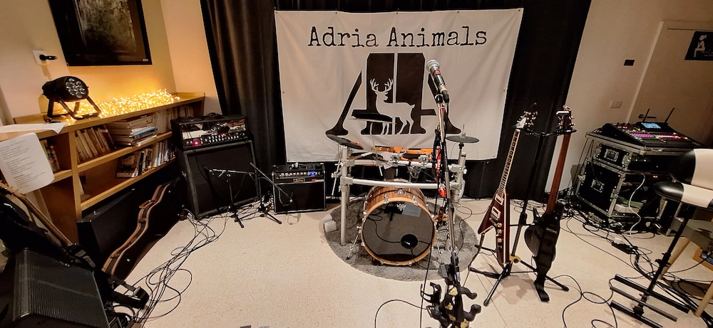 Aleš Korošec za bobni med nastopom.